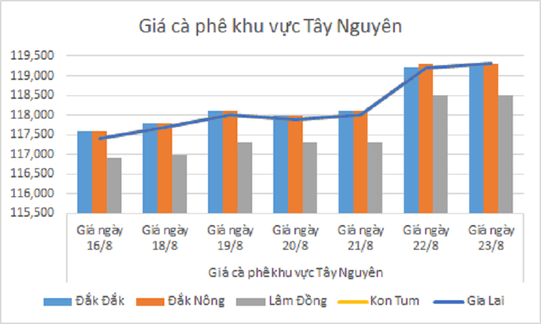 Bieu do gia ca phe ngay 23.8.2024_1724382794.png